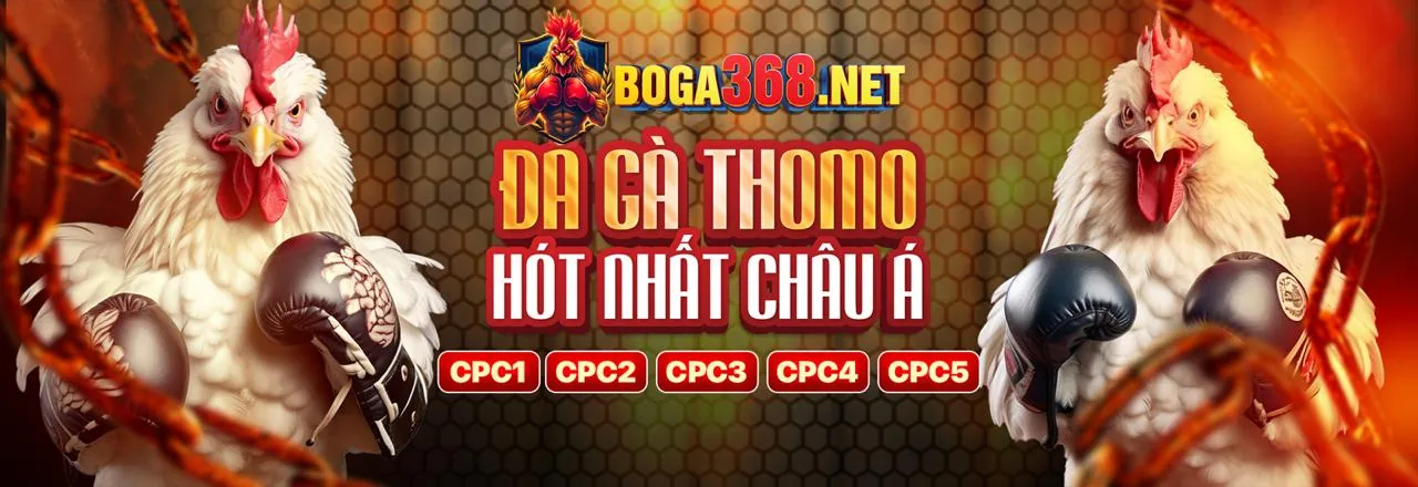 Đá gà cwin99 Trực Tuyến Hấp Dẫn